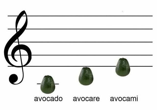 PSChoirs's tweet photo. Do re mi fa so done with the semester! 🎶 @patriotpride76 #psouthproud #pschoirs https://t.co/9EqstyM5zn https://t.co/QQ63UotZup