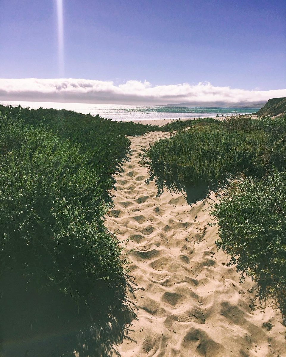 ExploreLompoc's tweet photo. May you always have a shell in your pocket and sand in your shoes. πππ΄ π https://t.co/h6GhIBsGL7
πΈ @katylynnwoods #jalamabeach #californiacoastline #explorelompoc https://t.co/IQ2lCTsBY1