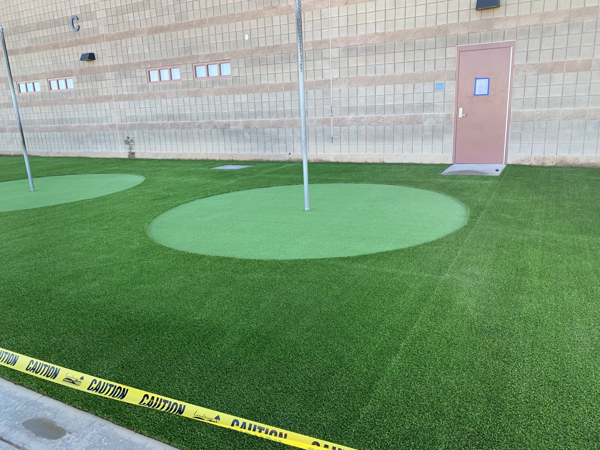 Diane Wells tweet media