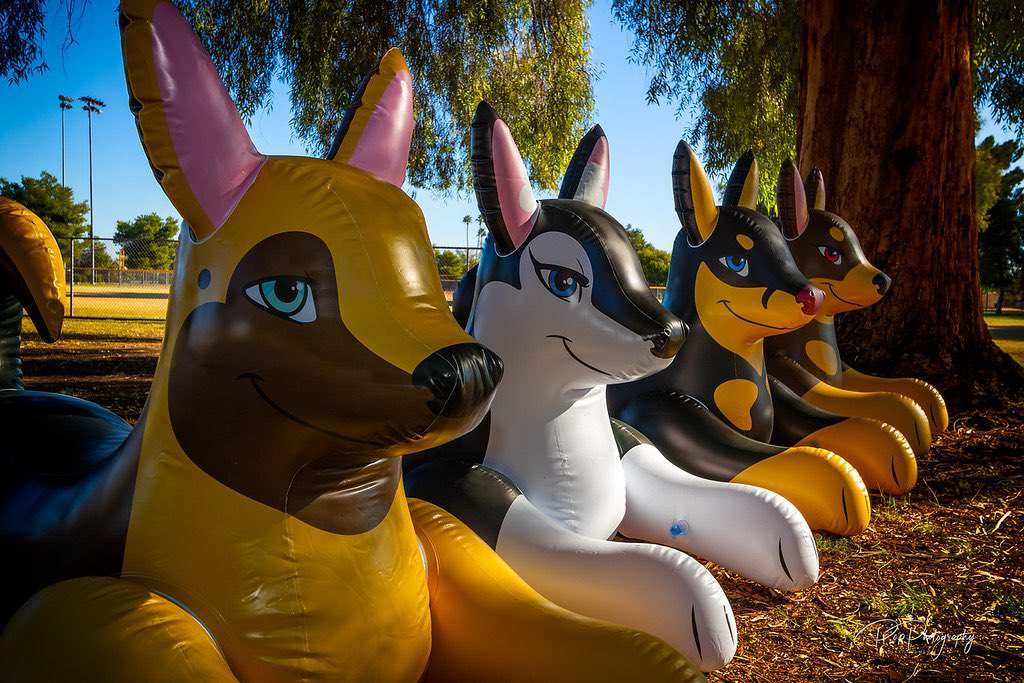 PhenodToy's tweet image. ❤️Giveaway❤️
❤️Ends 1/1/2020❤️
❤️Win your choice of Lead Dog❤️
❤️Must Follow RT and comment your favorite lead dog❤️
❤️no locked/Giveaway accounts❤️

❤️ forms.gle/TTRstovhsUXsQ8… &amp;gt; order one before it's too late! Orders close 12/31❤️
📸 @BooblesFennec