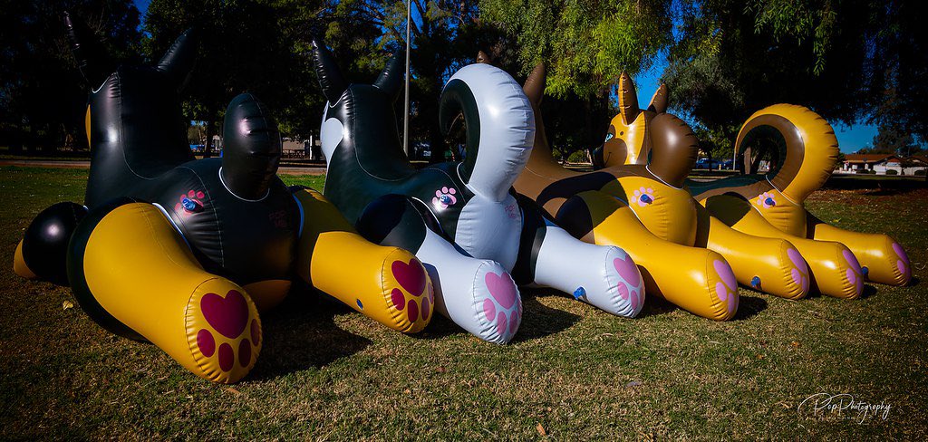 PhenodToy's tweet image. ❤️Giveaway❤️
❤️Ends 1/1/2020❤️
❤️Win your choice of Lead Dog❤️
❤️Must Follow RT and comment your favorite lead dog❤️
❤️no locked/Giveaway accounts❤️

❤️ forms.gle/TTRstovhsUXsQ8… &amp;gt; order one before it's too late! Orders close 12/31❤️
📸 @BooblesFennec