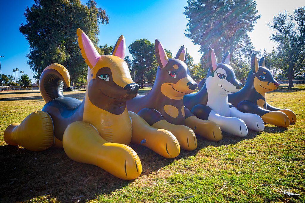 PhenodToy's tweet image. ❤️Giveaway❤️
❤️Ends 1/1/2020❤️
❤️Win your choice of Lead Dog❤️
❤️Must Follow RT and comment your favorite lead dog❤️
❤️no locked/Giveaway accounts❤️

❤️ forms.gle/TTRstovhsUXsQ8… &amp;gt; order one before it's too late! Orders close 12/31❤️
📸 @BooblesFennec