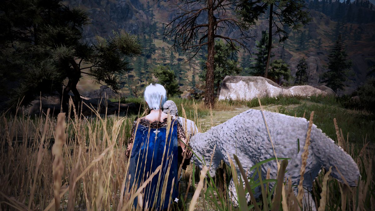 LargeNapTTV's tweet photo. Found a cute lil field of llama babies in Dreighan.
Also, happy Friday everyone!🦙❤️ProjectMilky|NA @BDO_News #bdonaeu #BDOMystic #BDOWinter #BlackDesertOnline #BDOSS #BlackDesert #BDO #BDOScreenshot #BDOMemories #BDOremastered #BDOPhotoshoot #MMORPG #FridayVibes #fridaynight https://t.co/kjZ10wWgFy