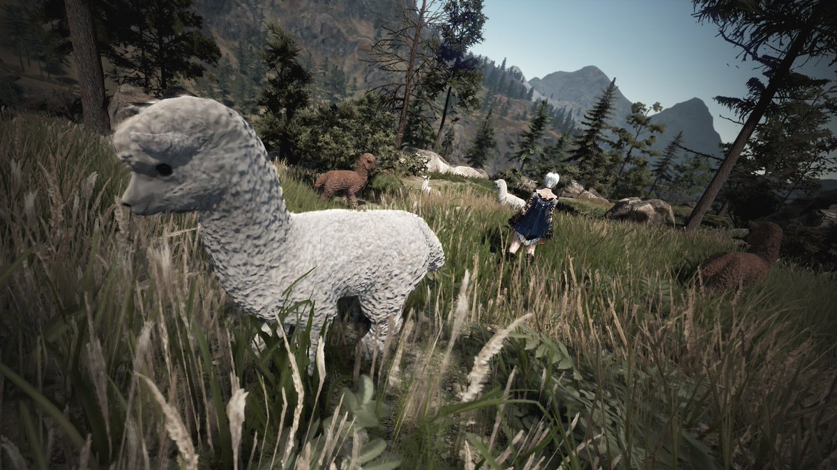 LargeNapTTV's tweet photo. Found a cute lil field of llama babies in Dreighan.
Also, happy Friday everyone!🦙❤️ProjectMilky|NA @BDO_News #bdonaeu #BDOMystic #BDOWinter #BlackDesertOnline #BDOSS #BlackDesert #BDO #BDOScreenshot #BDOMemories #BDOremastered #BDOPhotoshoot #MMORPG #FridayVibes #fridaynight https://t.co/kjZ10wWgFy