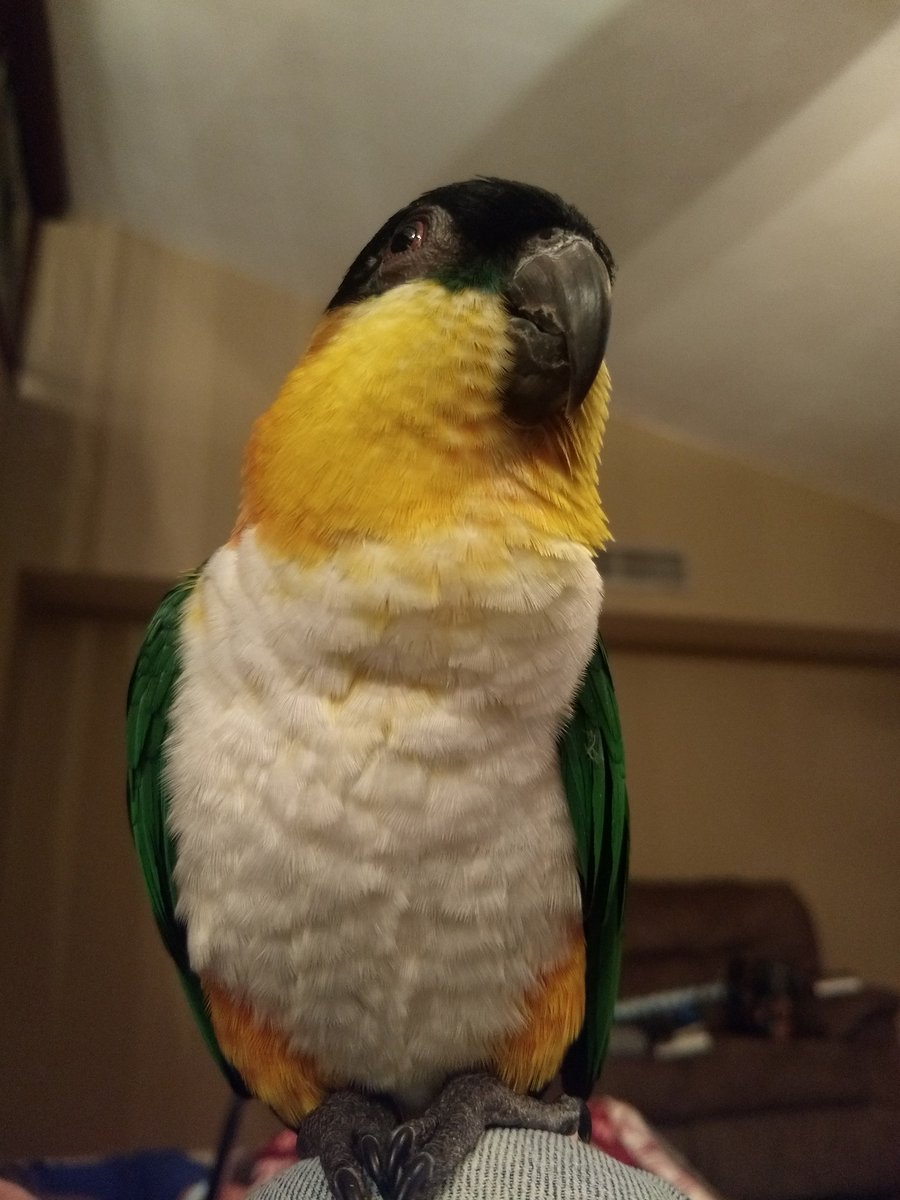 CaiqueCute's tweet photo. I'm in a reflective mood this evening.  I have so much to ponder. https://t.co/nibCHjv3ir