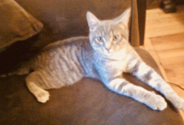 shellEbnz's tweet image. 