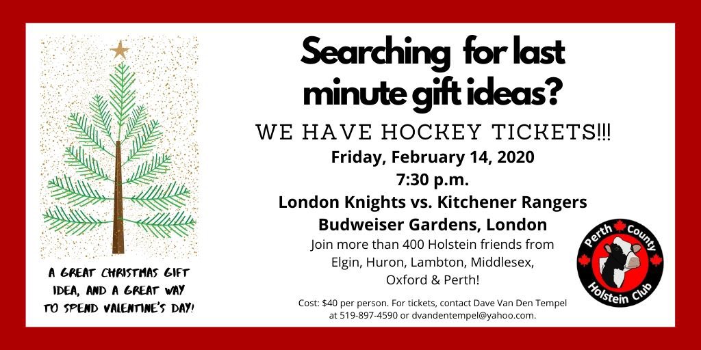PerthHolstein's tweet photo. Searching for a last minute Christmas gift, AND a great way to spend Valentine's Day? We have hockey tickets: KNIGHTS vs. RANGERS, Budweiser Gardens, London, Feb. 14 @ 7:30 p.m. Join over 400 Holstein friends from Elgin, Huron, Lambton, Middlesex, Oxford and Perth! Just $40 pp. https://t.co/26Kjz2ljnP