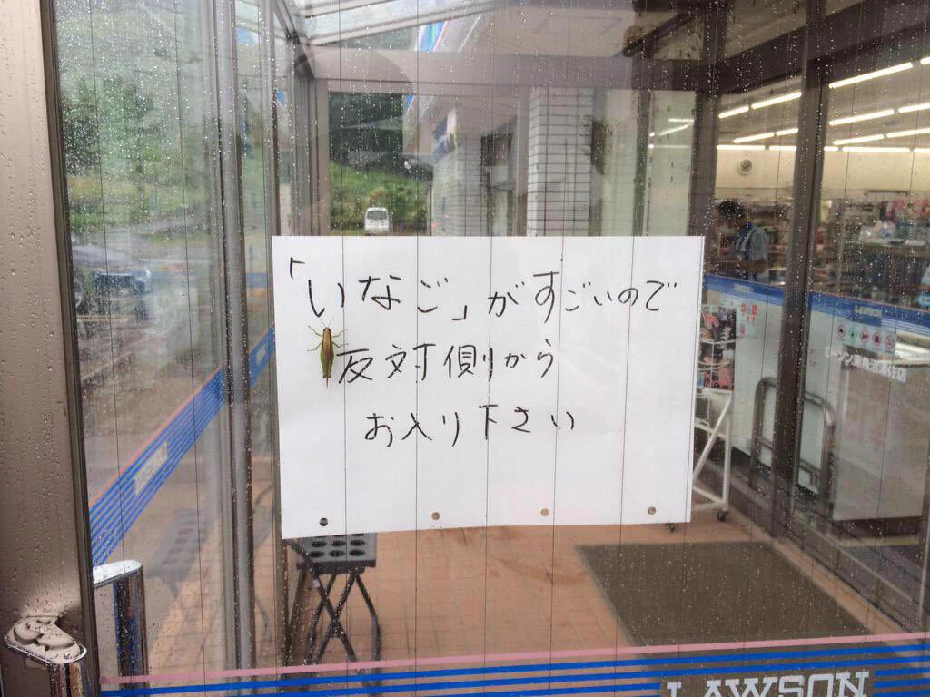 田舎のコンビニ恐ろしや！まさかのイナゴ大量発生‼