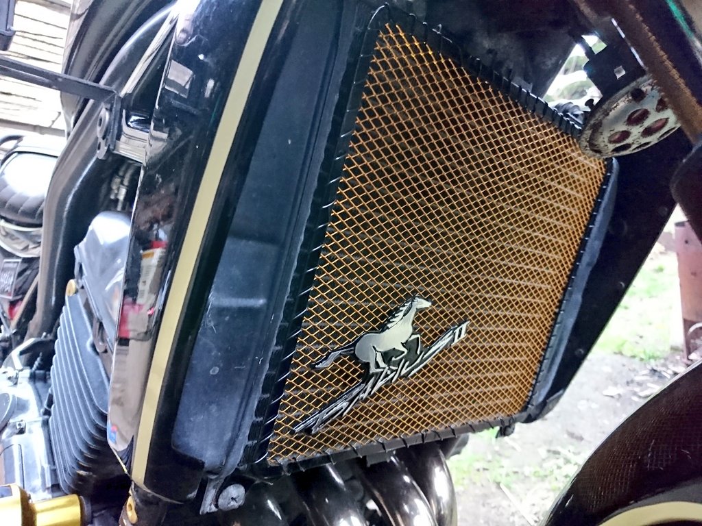 セルモーター分解 清掃 Bike Seibi バイク整備の記録