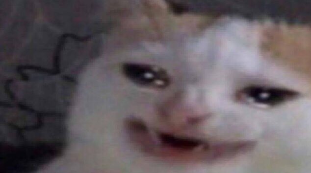 valv0id's tweet image. cuando tocaron Helena
ah pero cuando tocaban Teenagers 
y cuando tocaron Vampire Money 
pero cuando tocaron I Don’t Love You

m a g i c 

#MCRReturn