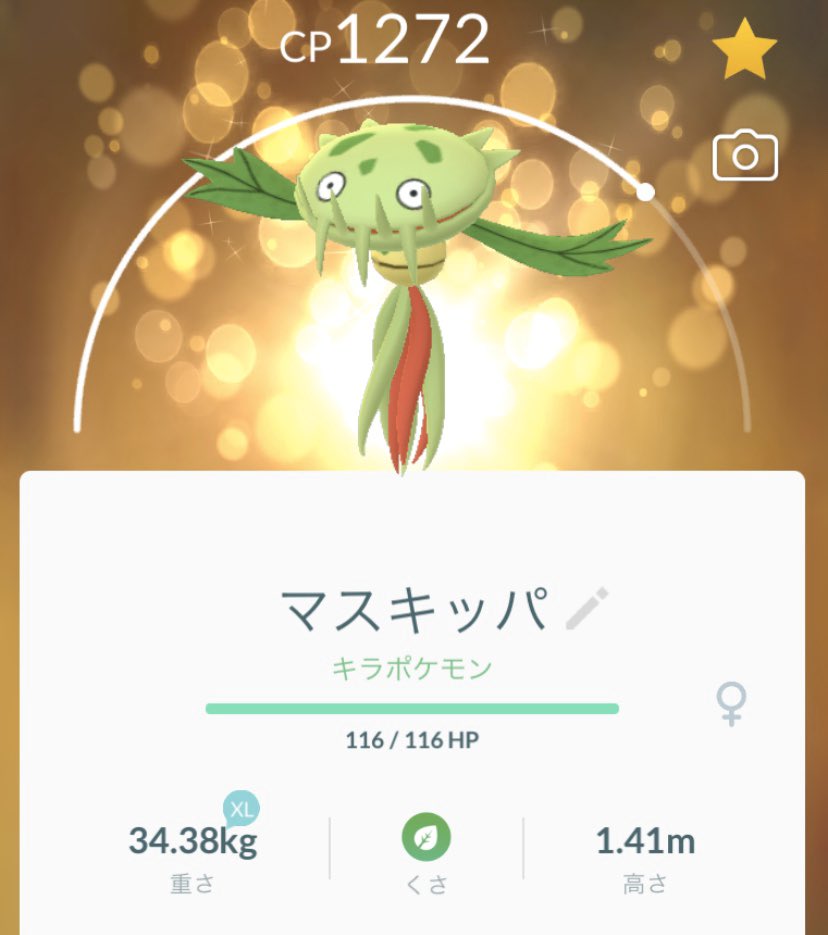 るーなー インスティンクト Dqw フレンドとキラ交換で マスキッパをいただきました ヒトモシ高個体になったそうで良かったです アンノーンも渡せて良かったです ポケモンgo キラ交換 マスキッパ ポケモンgo交換
