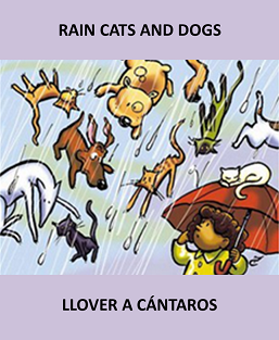 El Clemente Inglés on X: "EXPRESIONES ("Rain cats and dogs” = "Llover a  cántaros”) (Cuando llueve de modo tan intenso que nos parece que vamos a  acabar paseando por la calle en