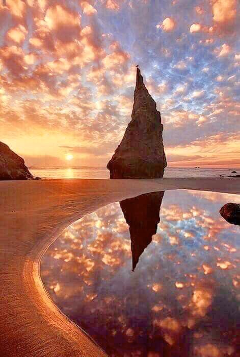 AnneScottlin's tweet photo. ❦The one with wisdom understands that knowledge alone can never bring us peace. ~Anne Scottlin
#inspirationalquotes #WizardsHatRock
#Photography #ChipPhillips #quotes https://t.co/XSy5jatDqx
