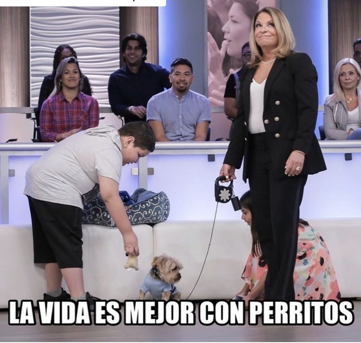 DraPoloFans's tweet photo. ¡Que Opinan Mis Amigos! 🐕 🐶 
#CasoCerrado #DraPolo #DraPoloFans https://t.co/x1i5gQQUyK