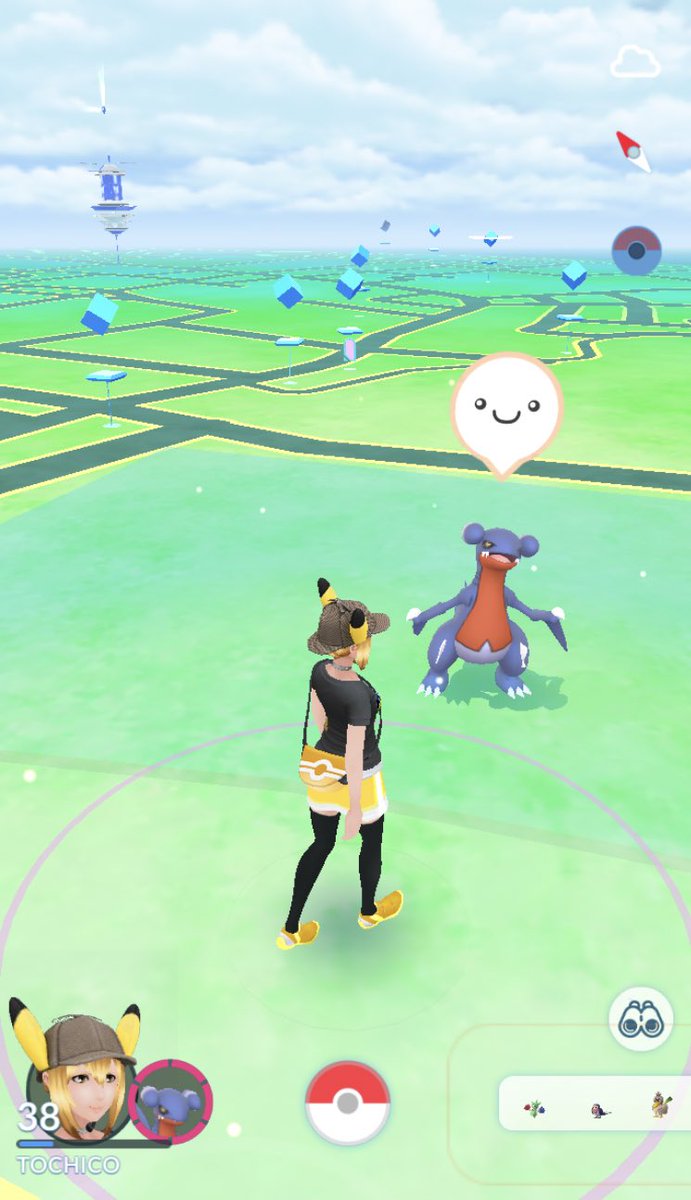 うたさん على تويتر 相棒機能をはじめてやってみた かわいい ついてくる ポケモンgo