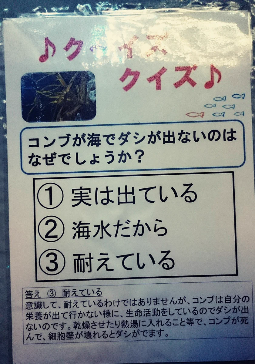 おたる水族館の飼育員さんの手作りpopがクスっと笑えるｗｗｗ