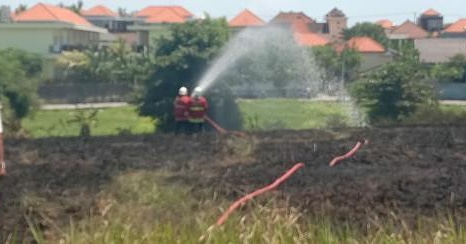 punapibali's tweet photo. Sabtu (21/12) pkl.11.35 wita, terjadi kebakaran lahan kosong di Jl. Batan Kangin Br. Kulibul Tibu Beneng Canggu Kuta Utara. Saat ini api sudah dalam penanganan tim damkar
.
.
Info dari #netizenbali
#kebakaran #kutautara https://t.co/8vLFsL5yEJ
