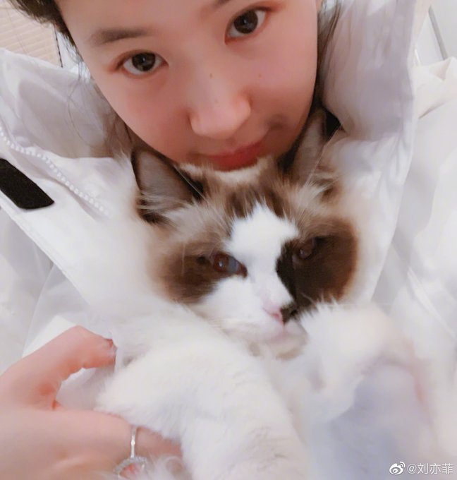 Yifei's Sina ก.ย.- ธ.ค. 2562 EMSSenSU4AA1WKm?format=jpg&name=small