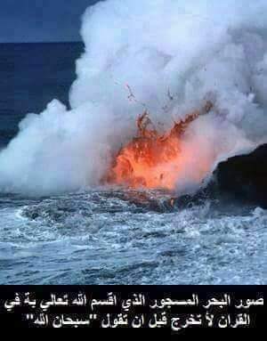 AtifElsayed's tweet image. 