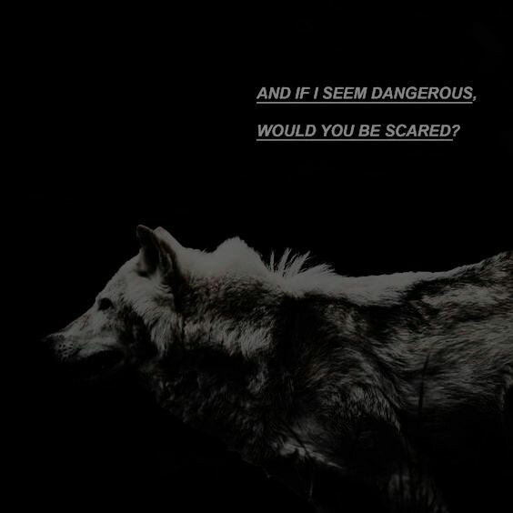 ───「 𝙹𝚘𝚜𝚎𝚙𝚑 • 𝚃𝚛𝚎𝚖𝚕𝚎𝚝𝚝 」
                ᵇᵒʰᵉᵐⁱᵃⁿ ᵃⁿᵈ ᵃᵈᵛᵉⁿᵗᵘʳᵒᵘˢ

      ❍︎ ᴅᴀɴᴀɢʜᴀɴ ᴛʀᴇᴍʟᴇᴛᴛ'ꜱ
           ꜱᴏɴ.
      ❍︎ ꜱɪxᴛᴇᴇɴ.
      ❍︎ ʀᴀᴠᴇɴᴄʟᴀᴡ.
      ❍︎ ʟʏᴄᴀɴᴛʜʀᴏᴘᴇ.

          #ʰᵖʳᵒˡ #ᶠʳᵉᵉʳᵒˡ