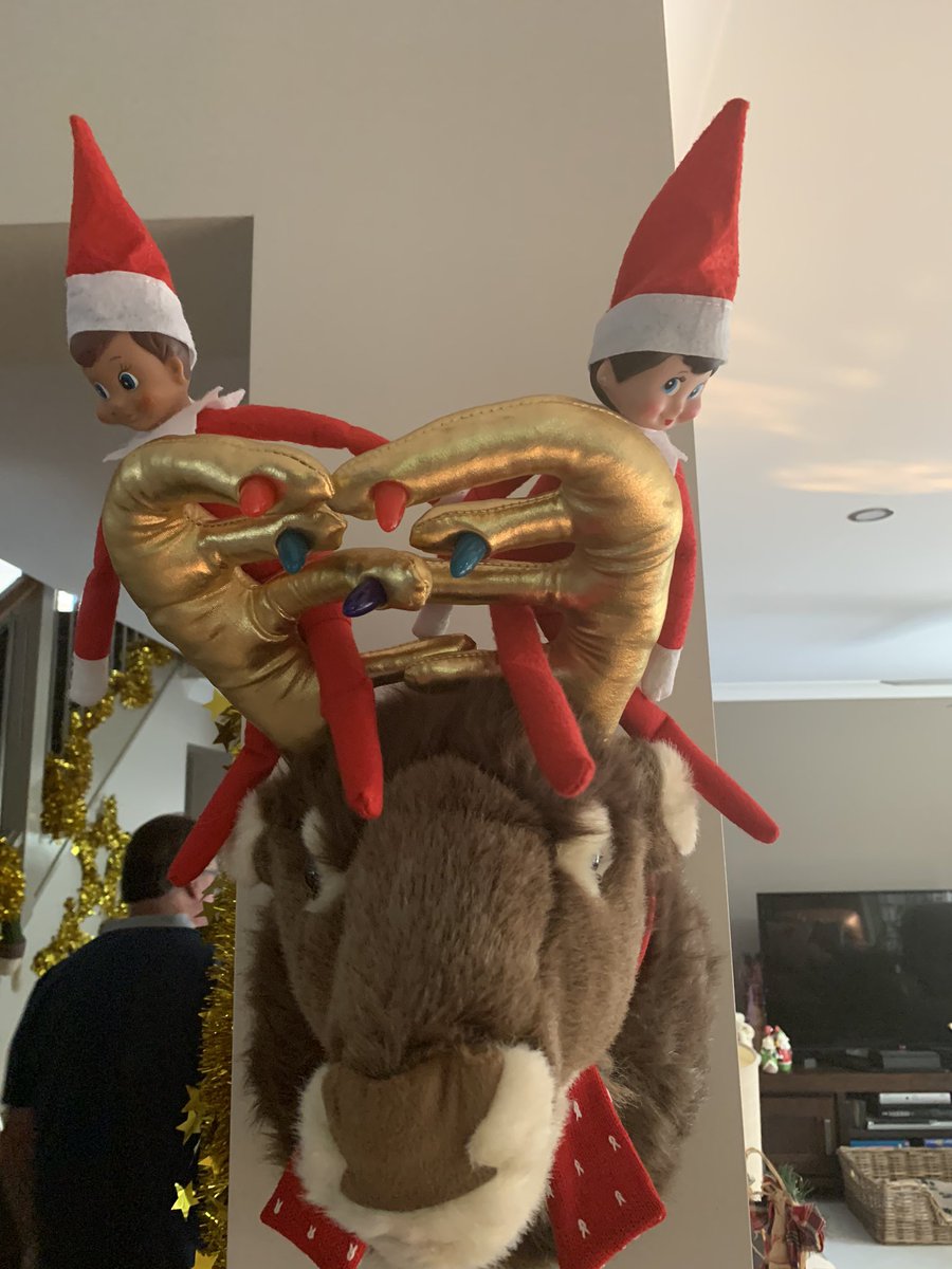 wonderwoman_'s tweet photo. In #sydney off on a boat trip holiday with family #merrychristmas everyone xoxoxo see u all in a few weeks ❌⭕️❌⭕️❌⭕️❌⭕️❌⭕️❌⭕️. https://t.co/HmPQVURmZv