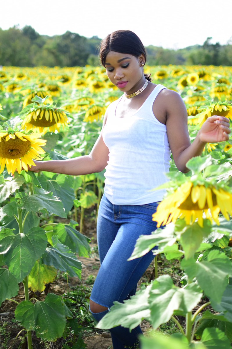 chukwunonso_1's tweet photo. field of dreams #igbogirlsrock #igboutique #igboamaka #igboliciousbabe #proudlyigbo #igbopride #igbogirlbrunch #igbokwenu #ndiigbo #igboprincess
#Sunflower #sunflowerfield #SunflowerGirl #SunflowerPhotographer #SunflowerPhoto #sunflowermodel https://t.co/aqGciJtoip