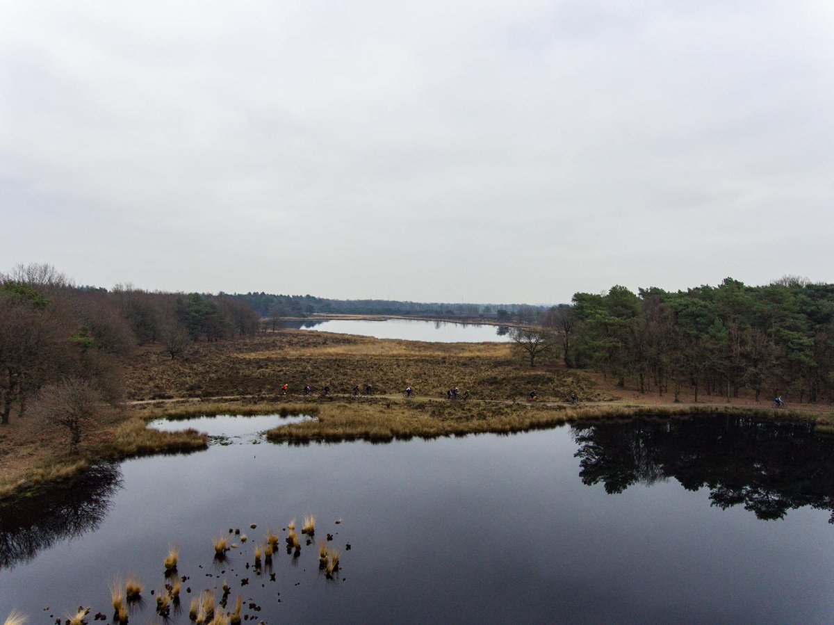 Bolane Events tweet media