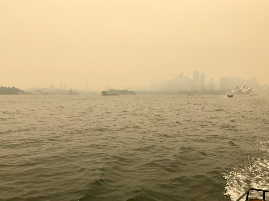 View image on Twitter