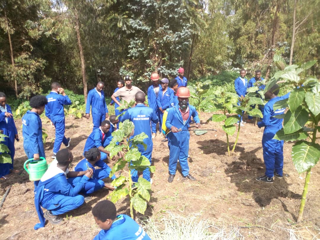 RwigambaInnoce1's tweet photo. @RwandaAgriBoard @rubona @PrimatureRwanda @RwandaAgri @RwandaInfra @RwandaFinance @RwandaSouth Thrilled about your coming. We #cropstudents @IPRC_Huye, are ready to partern in building @rwandawewant. Thank you @RwandaGov,@Rwanda_Edu, @RwandaPolytec,@RwandaSouth, @HuyeDistrict,@IPRC_Huye to make us #WhoWeAreToday,and especially @jemsaka07 for the #BusinessComCourse @twige04 https://t.co/4T8ZW5PZqN