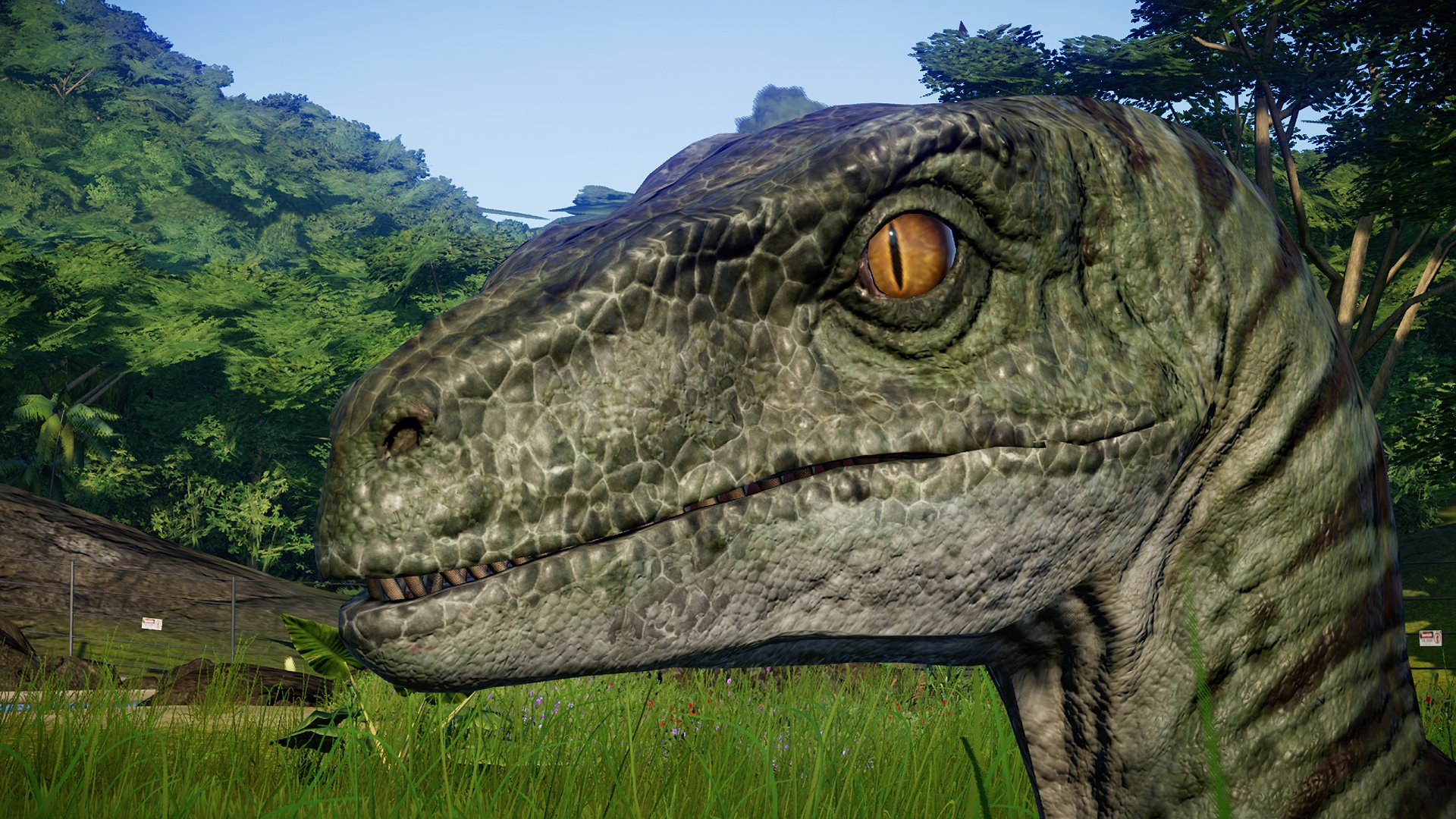 allosaurus jwe