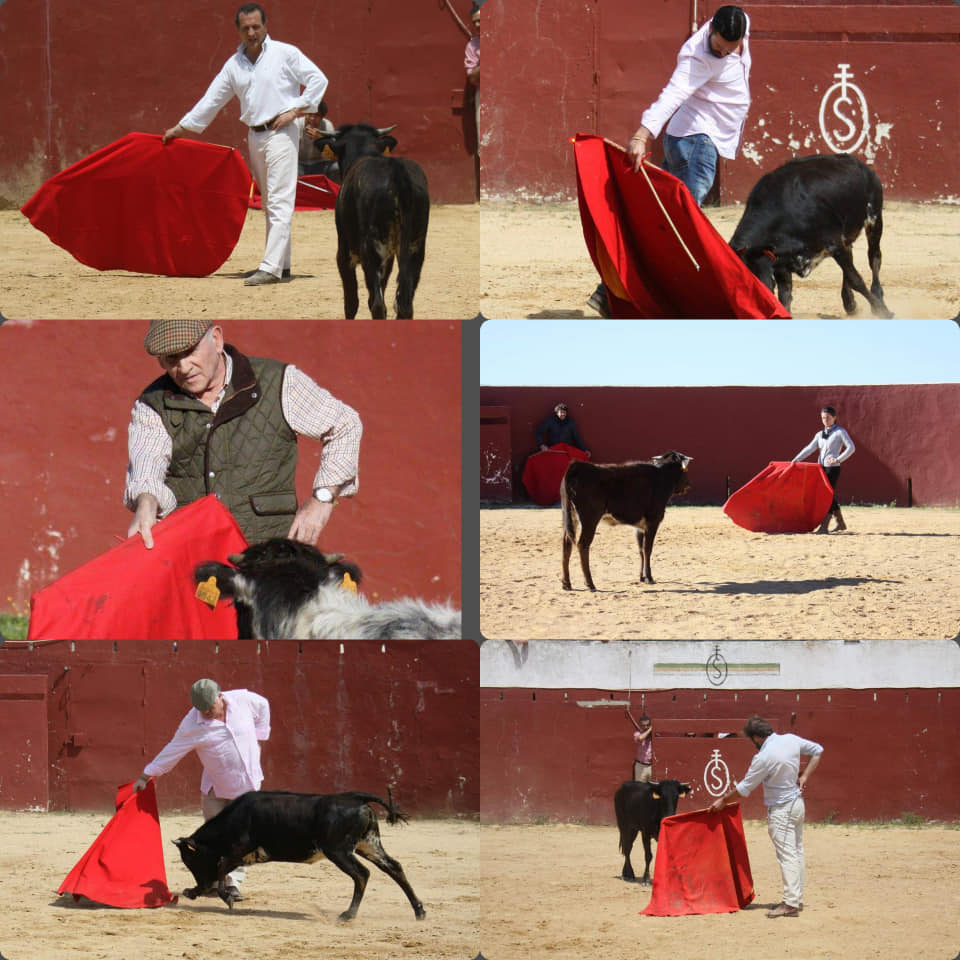 Curso Año Nuevo 2020

Plaza de toros de Guillena,  Sevilla. Clase magistral de Juan Ortega. Clase de lidia y banderillas de Francisco Durán "Viruta". Tentadero en la ganadería de Gerardo Ortega.

Regala un Curso por Navidad 

+ info y Programa:

clubaficionadospracticos.es/2019/12/curso-…