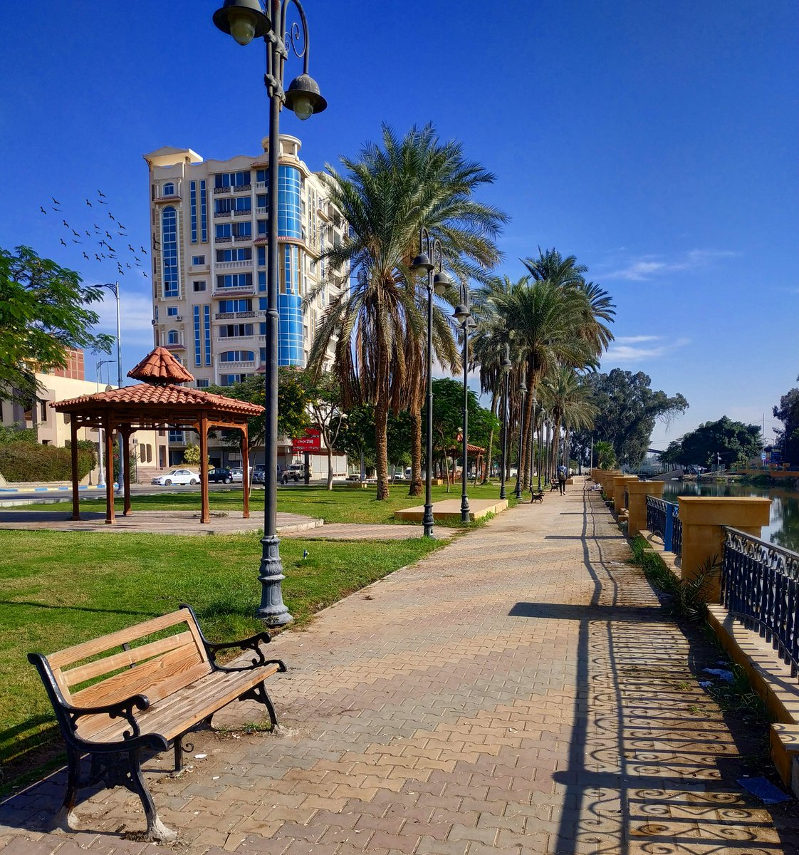 aahhmmeeddosama's tweet photo. The city of magical and beauty 🏙️❤️
.
Instagram acc : https://t.co/6vjqmzQCLR
.
#citylife #city #streetstyle #streetphotography #ismailia #everydayismailia #photo  #photography  #xiaomi #xiaominote5  #photoshoot  #freestyle  #blue #green #yellow  #sky  #a7m_d: https://t.co/RwjqDVfWX1
