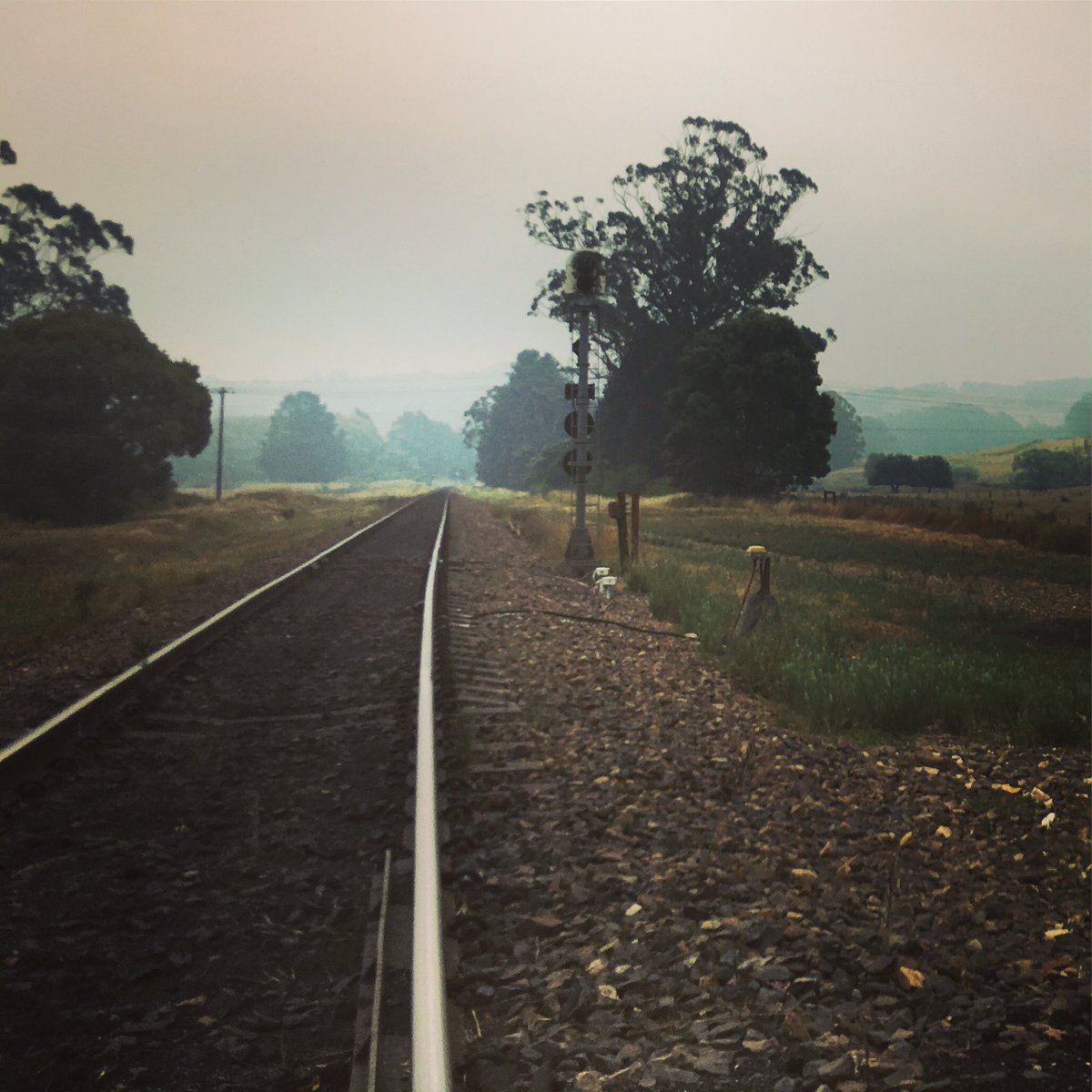 KMAllan_writer's tweet photo. Well, it took 12 hours as there was detours in place for the NSWโs fires, but Iโm in Sydney to spend Christmas with my family. If youโre traveling for the holidays, stay safe. Merry Christmas ๐.
...
#holidaytime #writerbreak #writingcommunity #roadtrip #australianlandscapes https://t.co/WCKHUaKkPp
