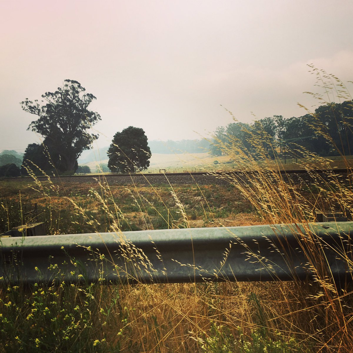 KMAllan_writer's tweet photo. Well, it took 12 hours as there was detours in place for the NSWโs fires, but Iโm in Sydney to spend Christmas with my family. If youโre traveling for the holidays, stay safe. Merry Christmas ๐.
...
#holidaytime #writerbreak #writingcommunity #roadtrip #australianlandscapes https://t.co/WCKHUaKkPp