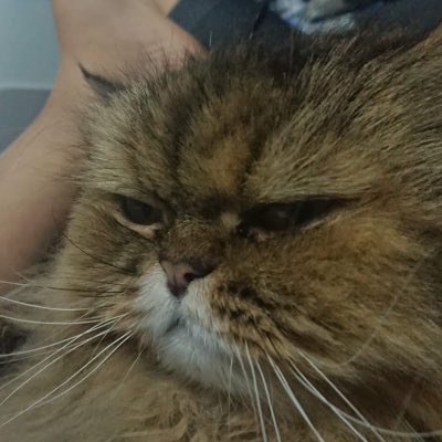 bwchry's tweet photo. #NewProfilePic https://t.co/xCSItXR3oY