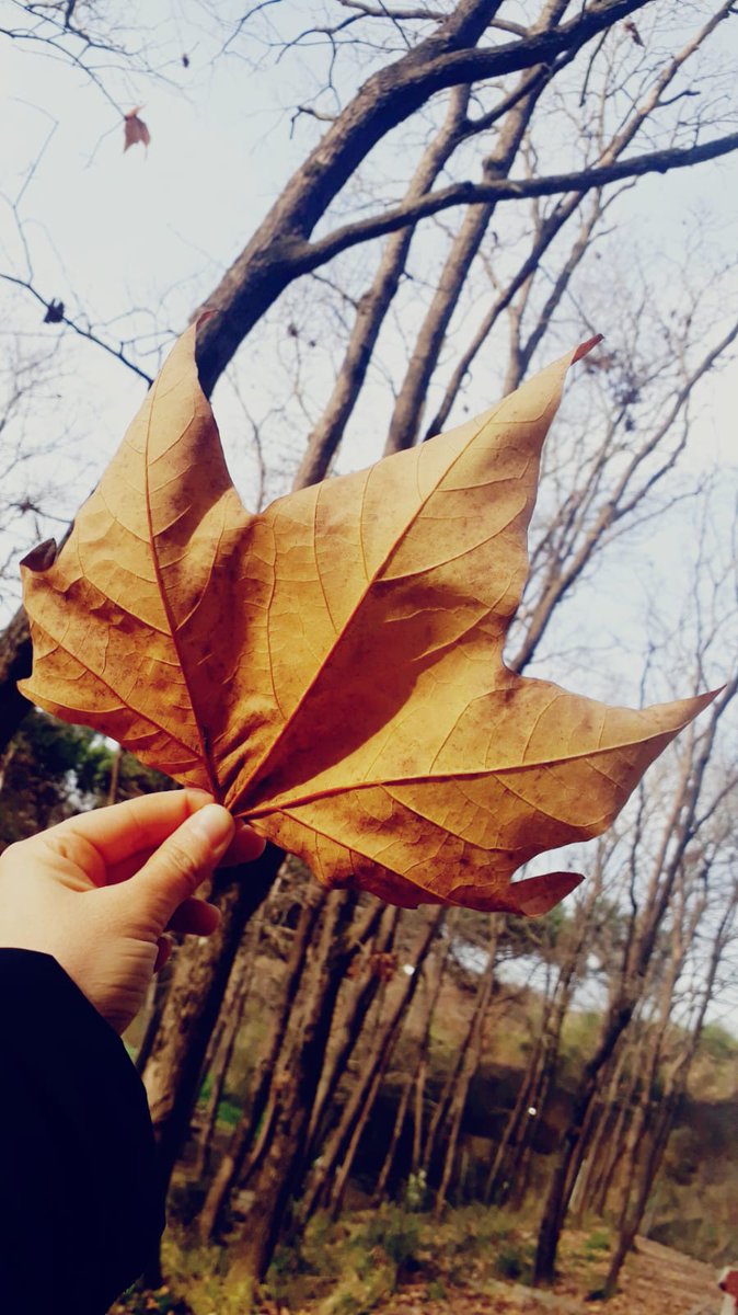 Buse Çelen (@buseecelen) on Twitter photo 