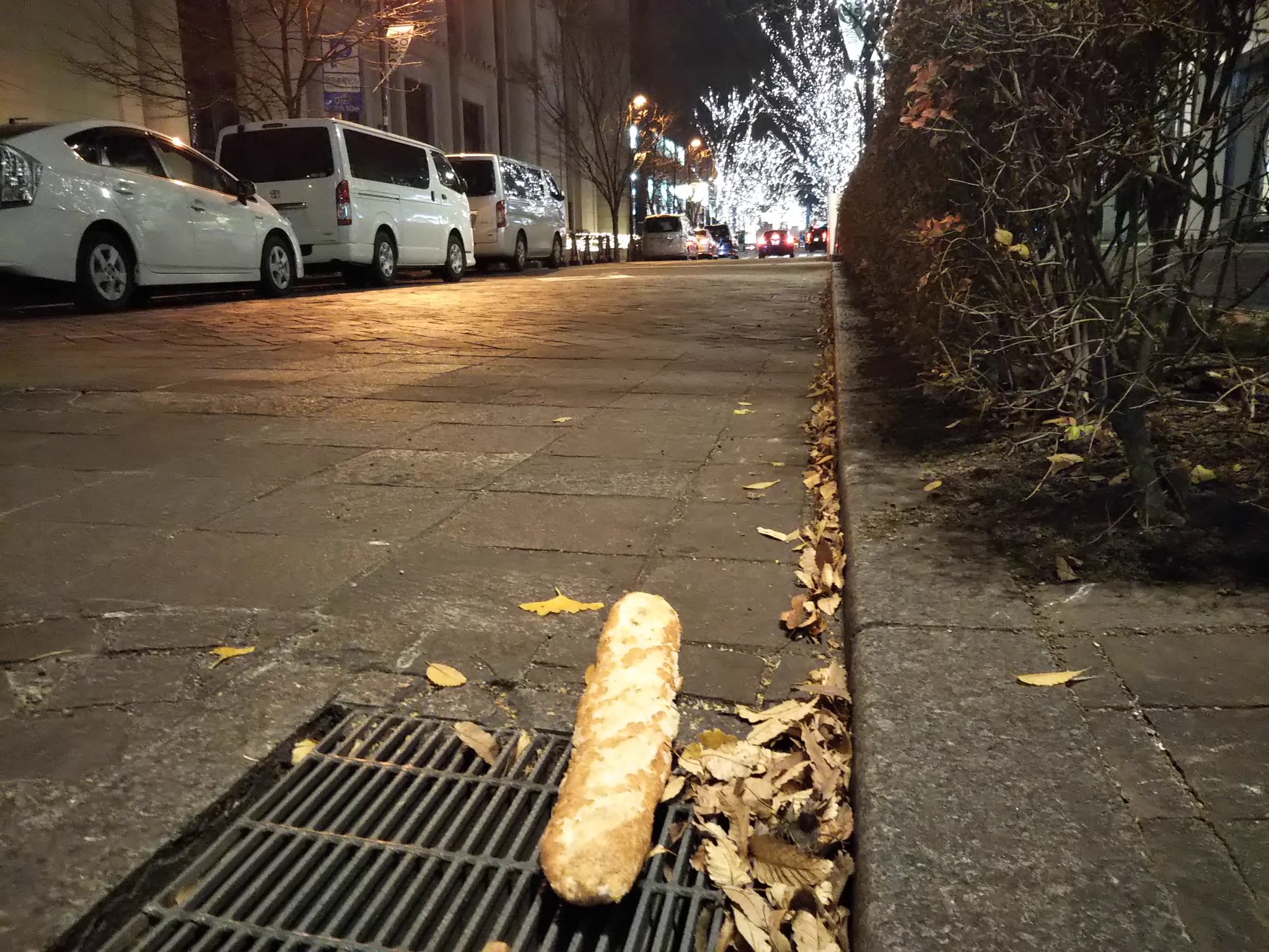 銀座はお洒落過ぎwwwだからフランスパン落ちてるwww