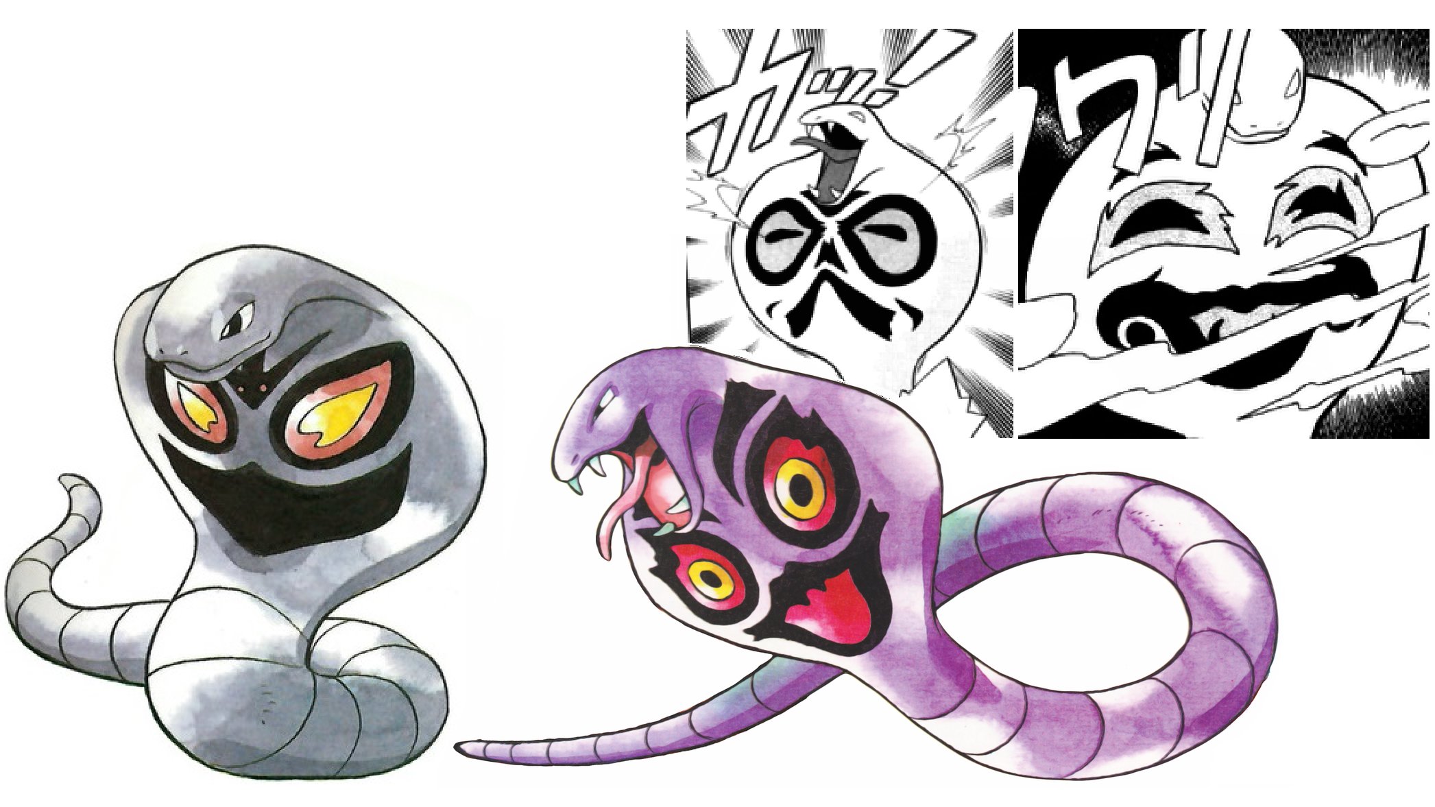 arbok-different-patterns