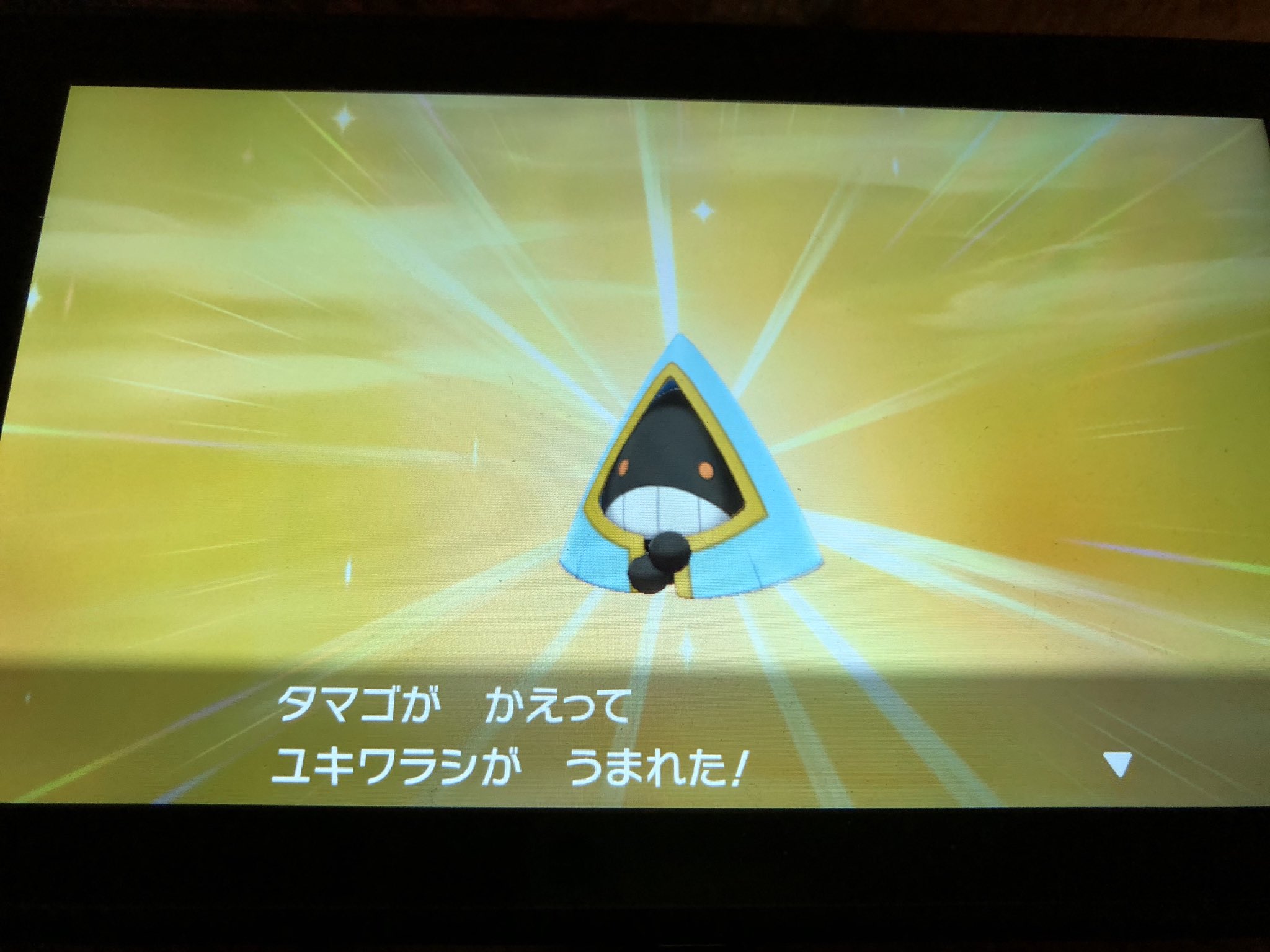 ライト ポケモン廃人だった人 Sur Twitter 剣盾初の色違いが 非 夢特性のユキワラシw 飾りだ T Co Iphytvhpqo Twitter