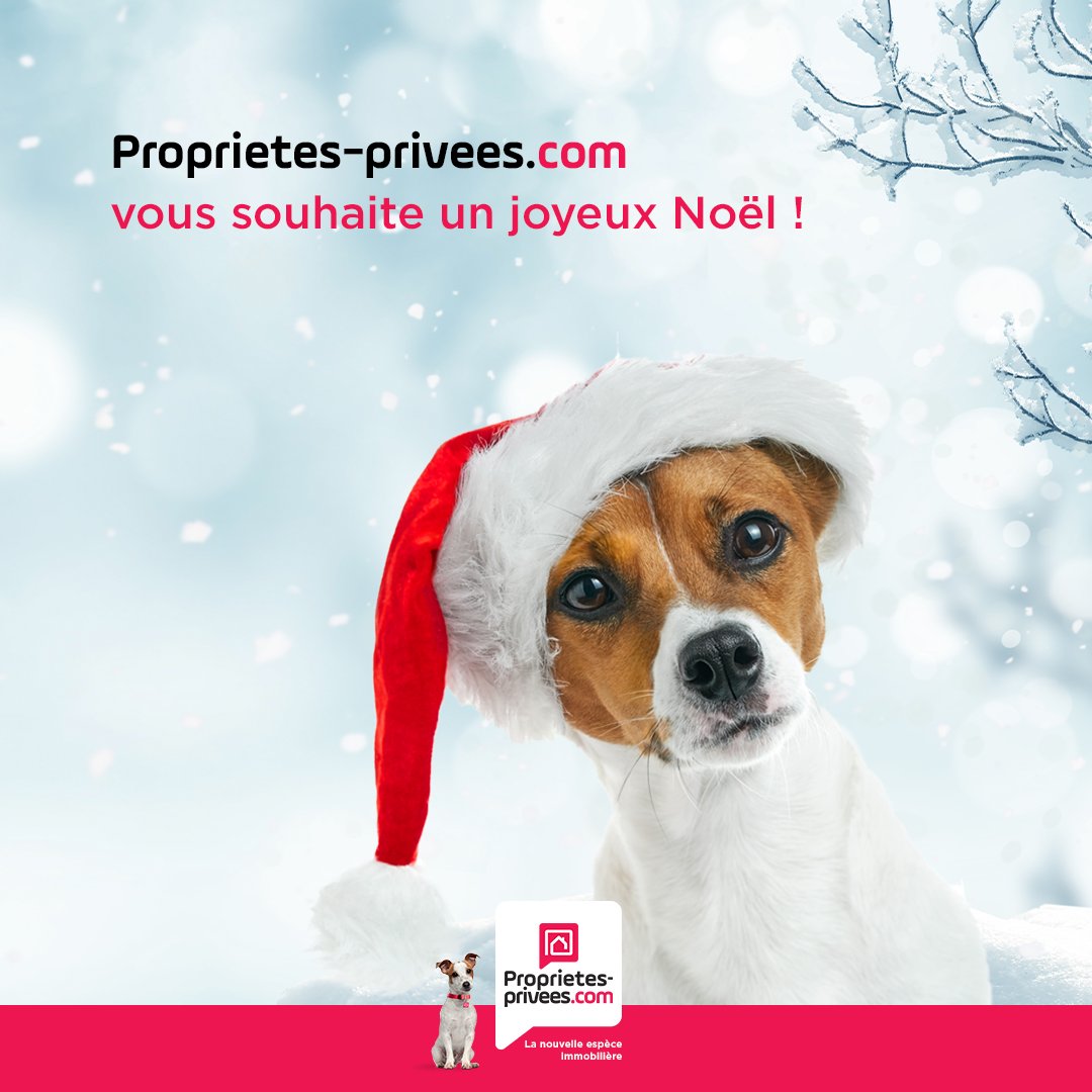 BilhereLaure's tweet photo. Bonnes fêtes de fin d'année ! https://t.co/JrPY2MUnYC