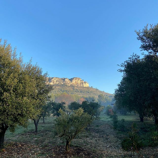 Pause_Luberon's tweet photo. Fin d’automne en #luberon #nofilter #vacances #provence #merindol #pauseluberon #joyeusesfetes #airbnb #homelidays #liendanslabio https://t.co/UcVGFqKBAD https://t.co/pgckKE3Uf0