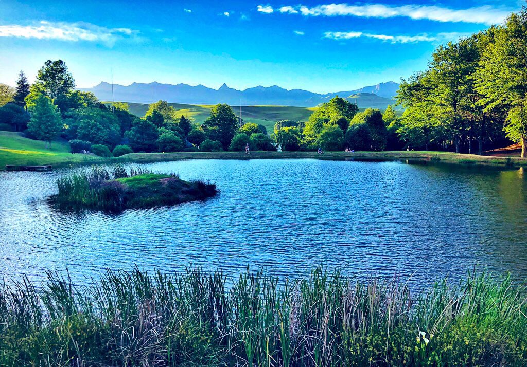 claire_said_hi's tweet photo. Tranquility💙💚💙
#drakensberg #kzn #photography #beautifulscenery #blueskies #natureisbeautiful #wanderlust #castleburn #underberg #southafrica @TourismKZN
https://t.co/okxhZILT4i https://t.co/xdgtDcynil