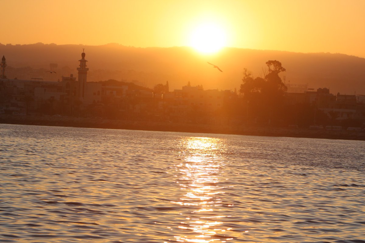 AbedHassoun's tweet image. Morning magic of the South 🇱🇧

#SamplingDay
#Lebanon #Tyre #لبنان #صور 
#Oceanography
#Photography