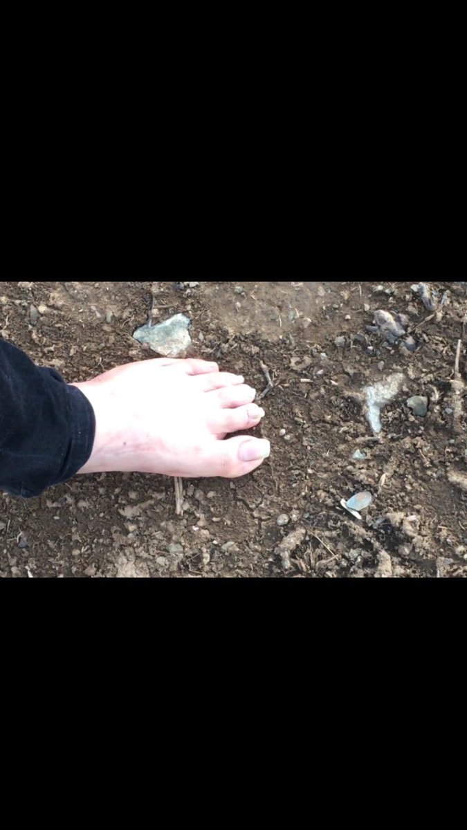 MycuteTtoes's tweet photo. #piedi #pies #feetlover #footfetısh #footworshipping #footpics #footsub #footmaster https://t.co/6mTJKIie9p