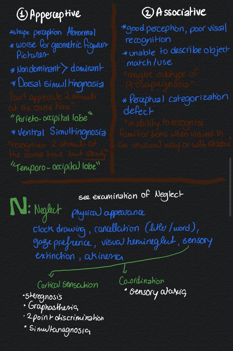 Parietal lobe examination 🧠