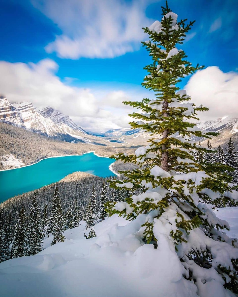 Peyto Lake, Canada

(via Instagram/motherpixels)