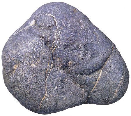 チカツタケオ 瀬戸さんの絵は写真を写真のように写して喜んでいるようなレベルとは違います 美しいのです 神々しいのです これらの絵はネット画像なので展示されません 瀬戸照 チカツタケオ 鍵元涼 3人展 1 21 火 2 2 日 東京都渋谷区神宮前2 3