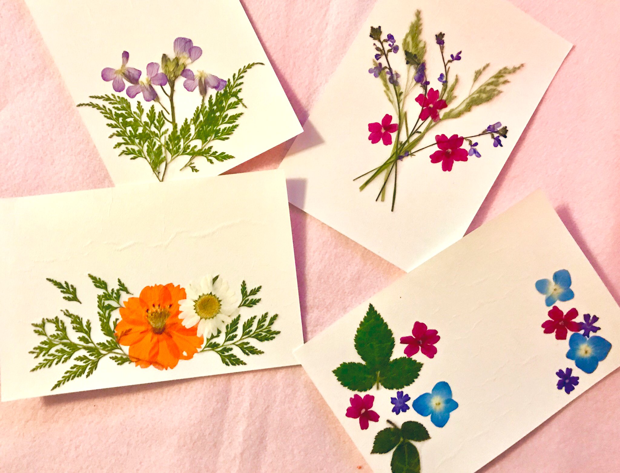 押し花サロン スイートアリッサム 押し花ハガキ完成 たくさん作っていただきました きれいですね 年賀状にいいですね お越しくださりありがとうございました 楽しかったです 押し花 花のある暮らし T Co Jdb9sqwx2a Twitter