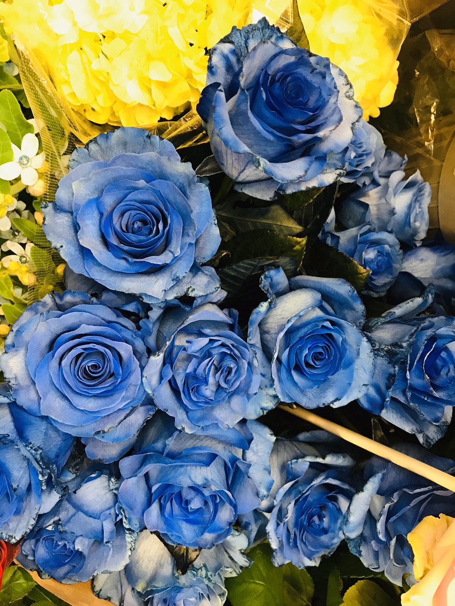 薔薇がたくさん入荷しております。クリスマスは🎅お花をかざりましょう