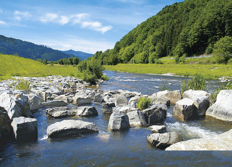 thijshartog's tweet photo. @Aktiva_Tours per #trein naar het #Schwarzwald https://t.co/kKanuZWVJU https://t.co/pTPefMbW3b
